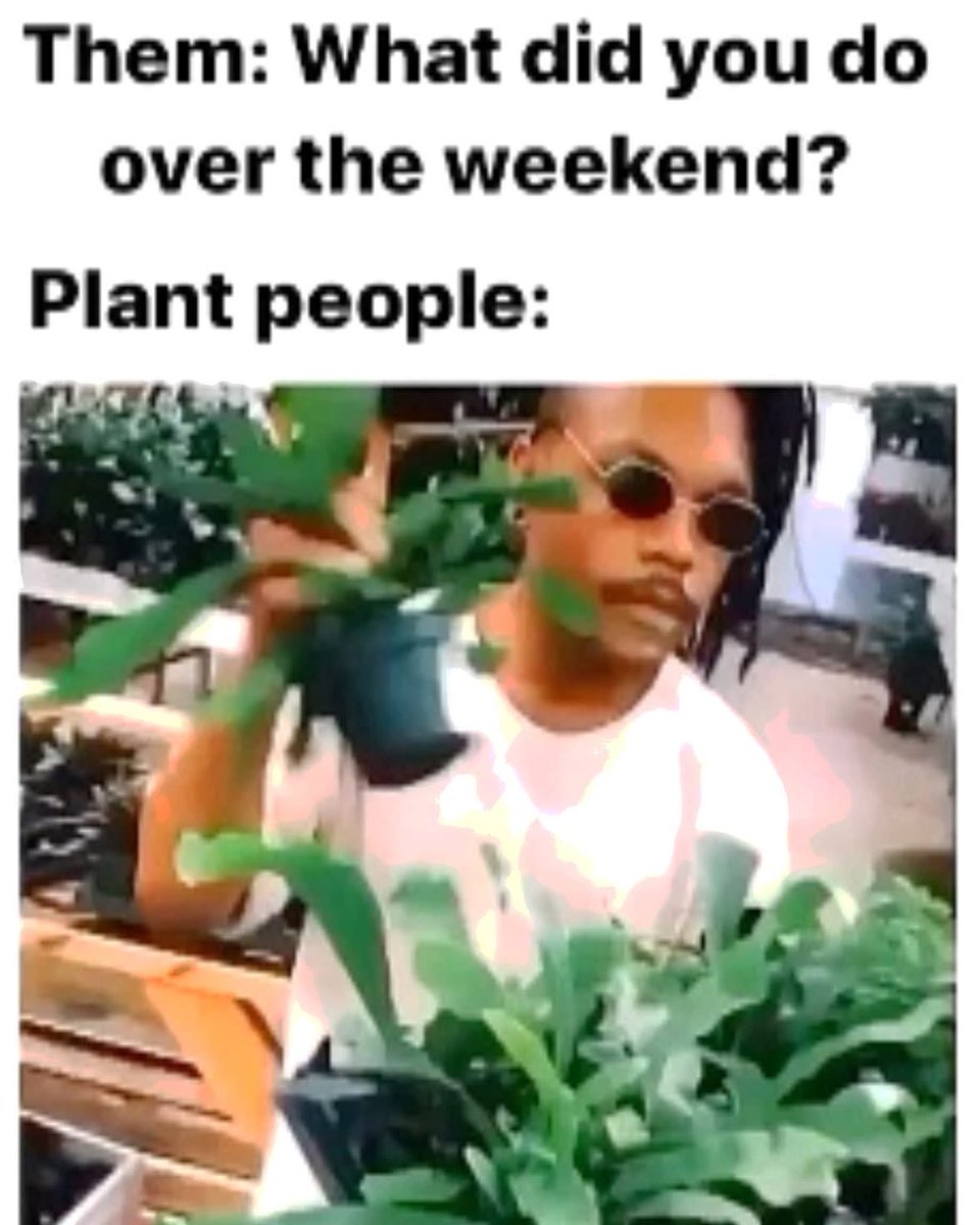 NurseOreo69's tweet photo. This is exactly what I did over the weekend and before I went to my cousin funeral. 🌺💐🌼🌹 https://t.co/jVpMmBCLDL