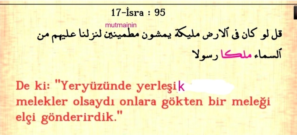 Erdal Serce tweet media