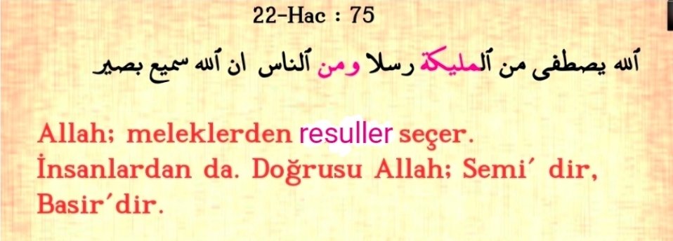 Erdal Serce tweet media