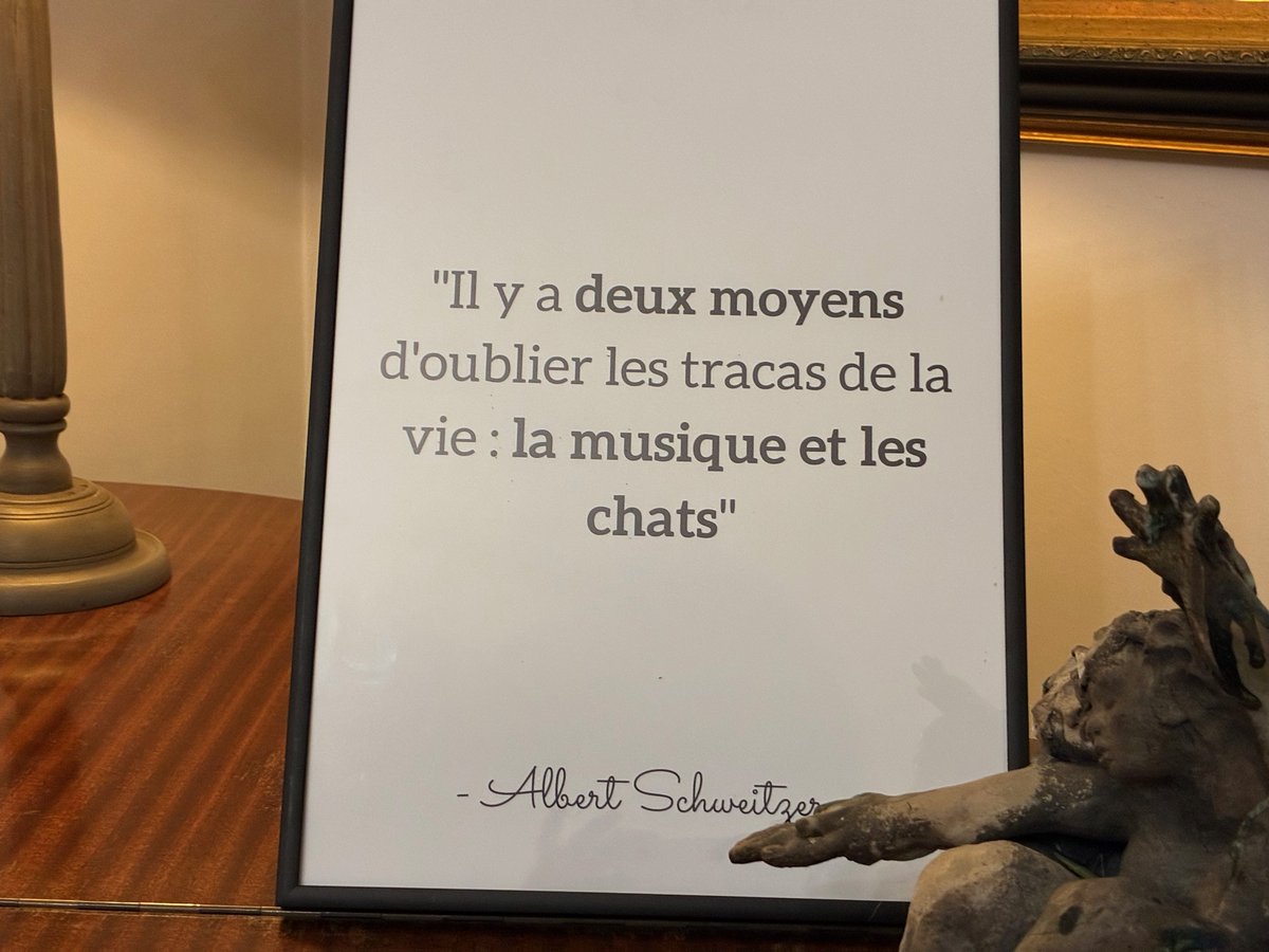 LAURENT Françoise psy dans une vie antérieure tweet media