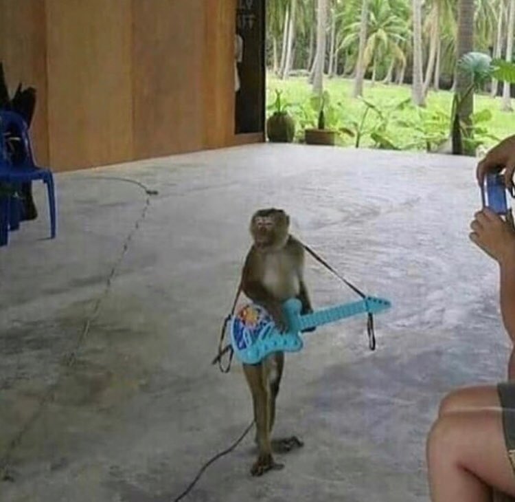 ellie ˖ ࣪ 𖥔 ࣪ ˖ ་ ᳝ tweet media