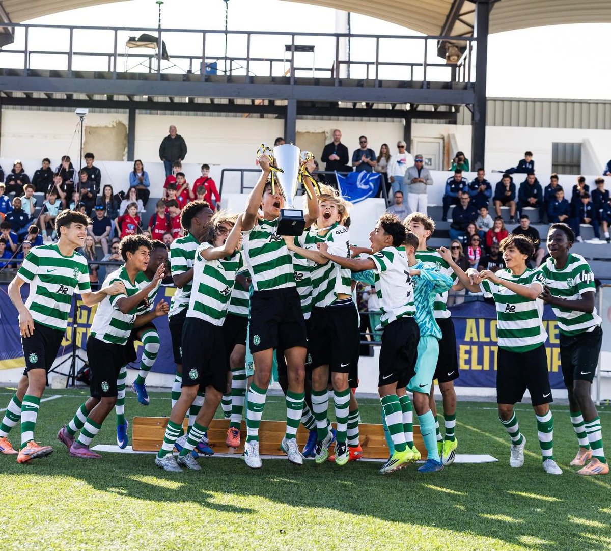 Sporting CP tweet media