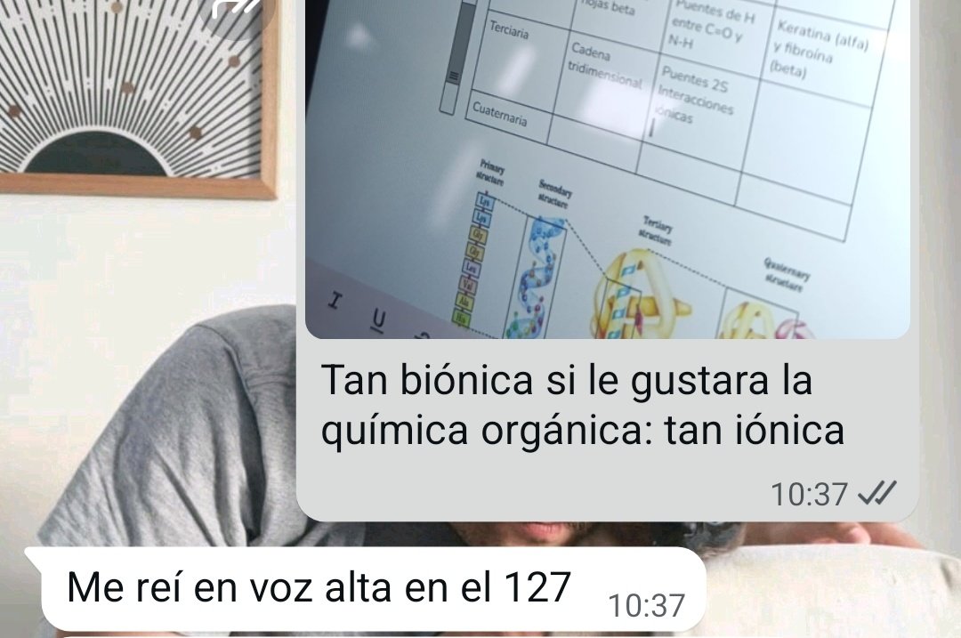 lulichinchu 🌭 tweet media