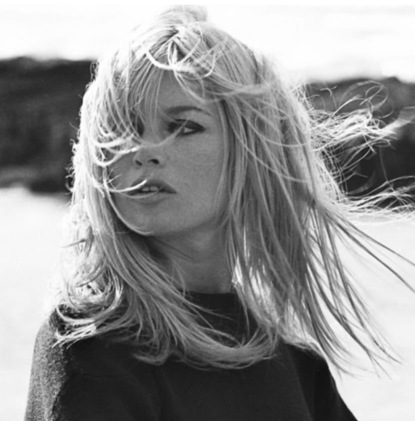 At the Cinema tweet media