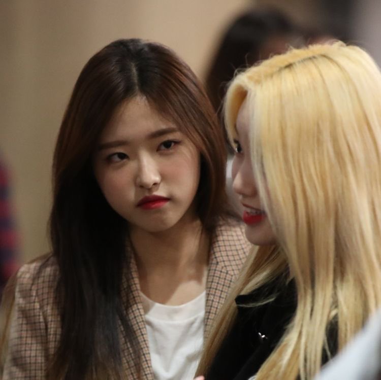 cece🪽 tweet media