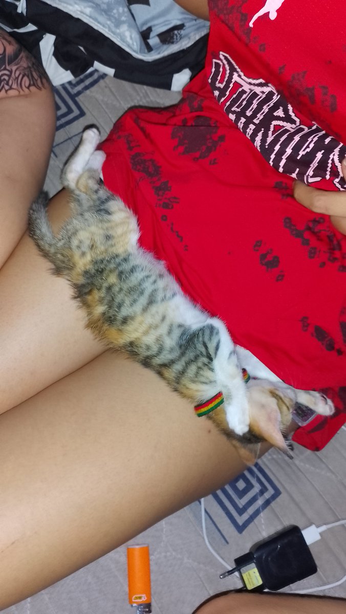 cacau. 🪷⁷ tweet media