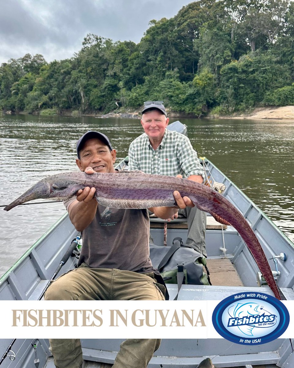 Catfish NOW tweet media