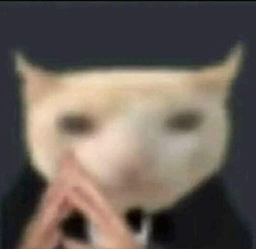 Áster + The Machine 🏳️‍⚧️ tweet media