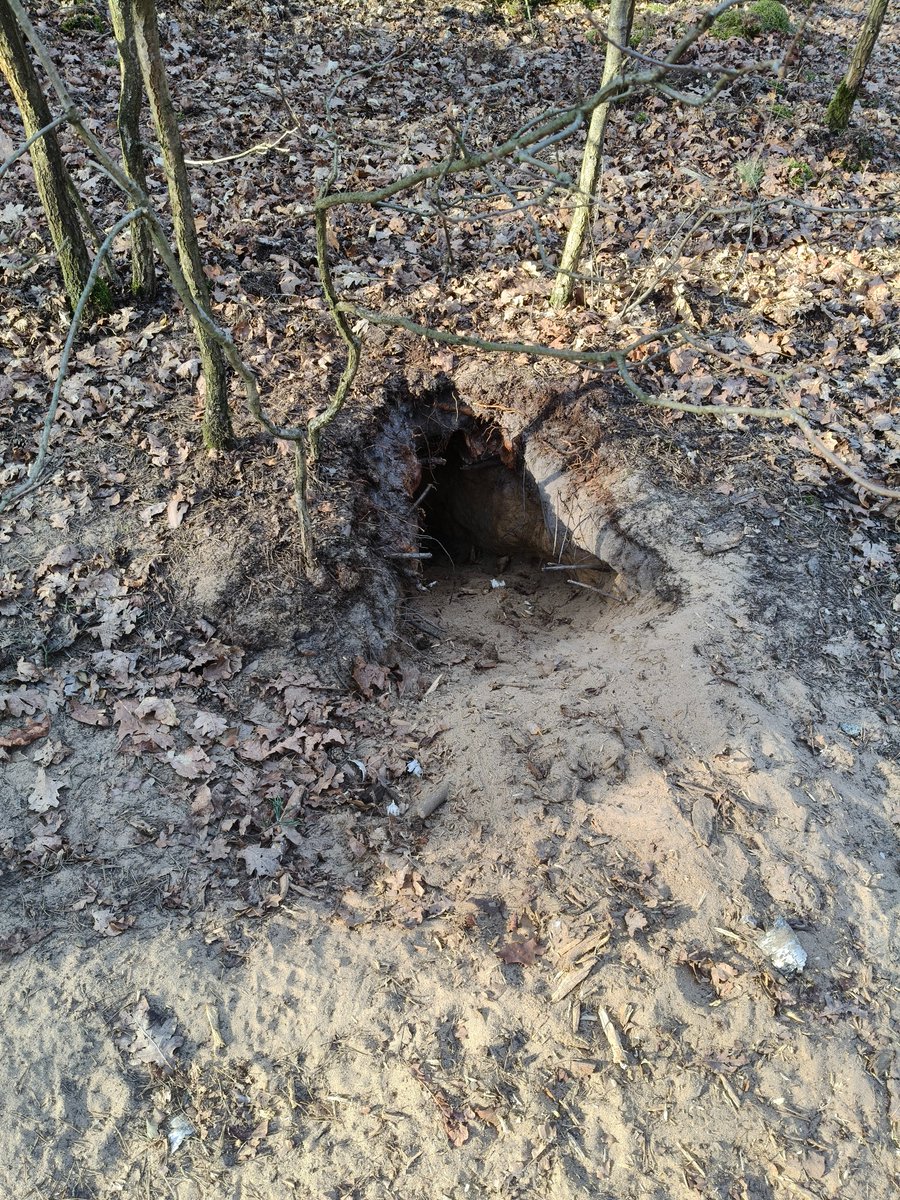 Bartosz Witoszka tweet media