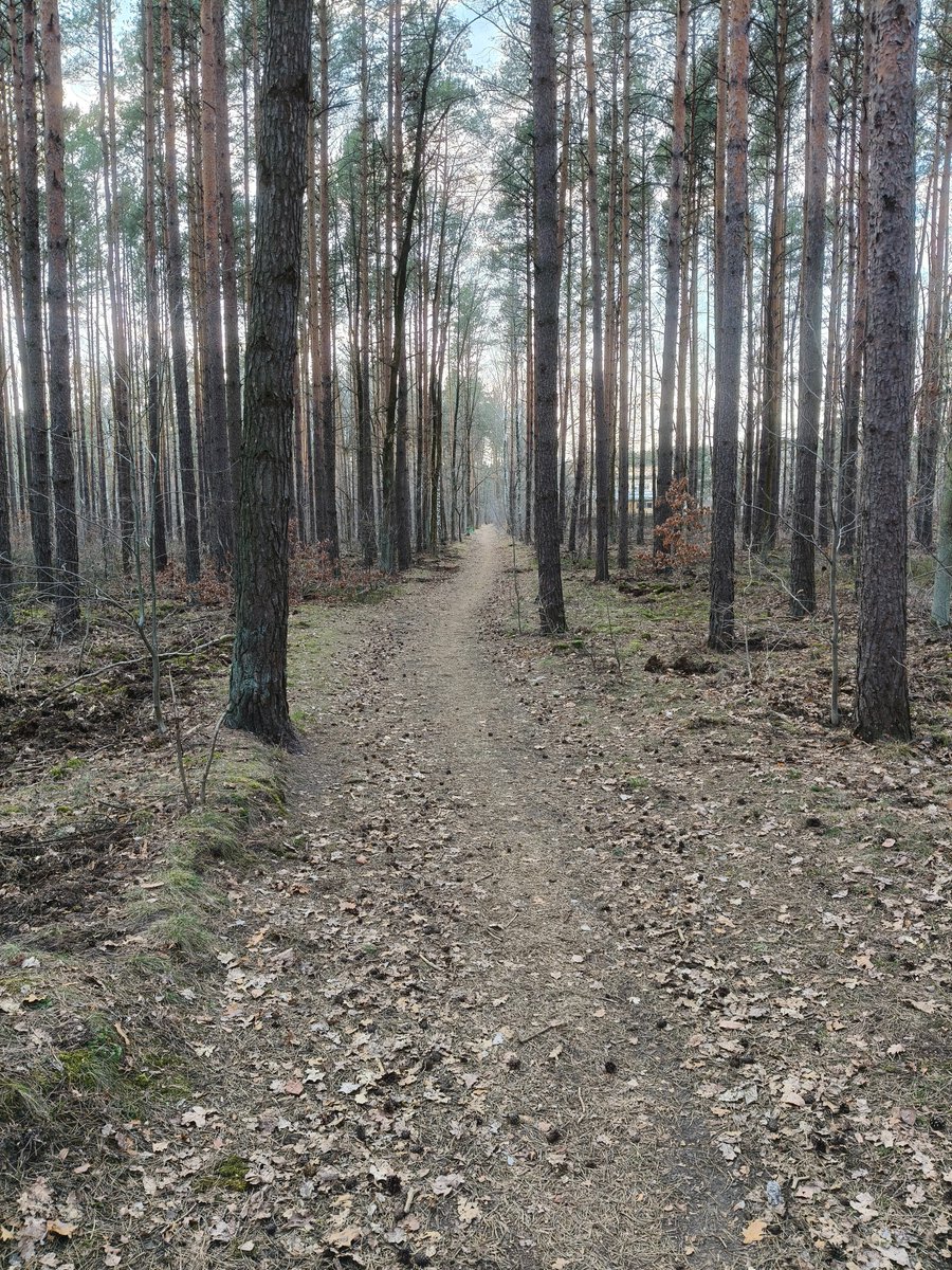 Bartosz Witoszka tweet media