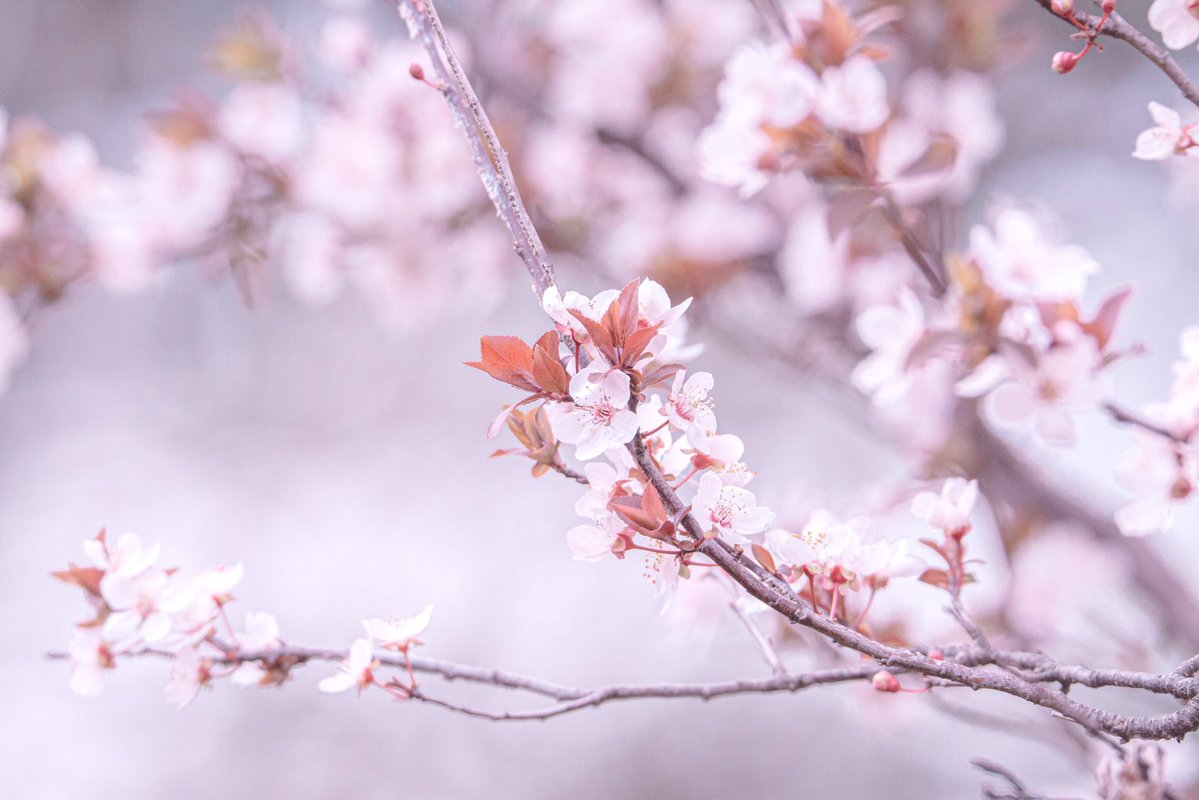 まれこ📸新規予定× tweet media