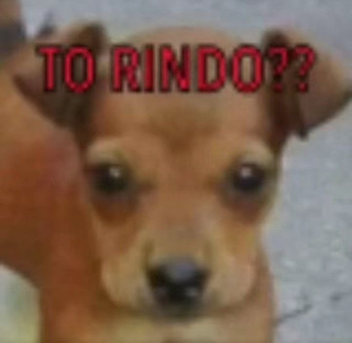 manu vai ser fono 𝜗𝜚 tweet media