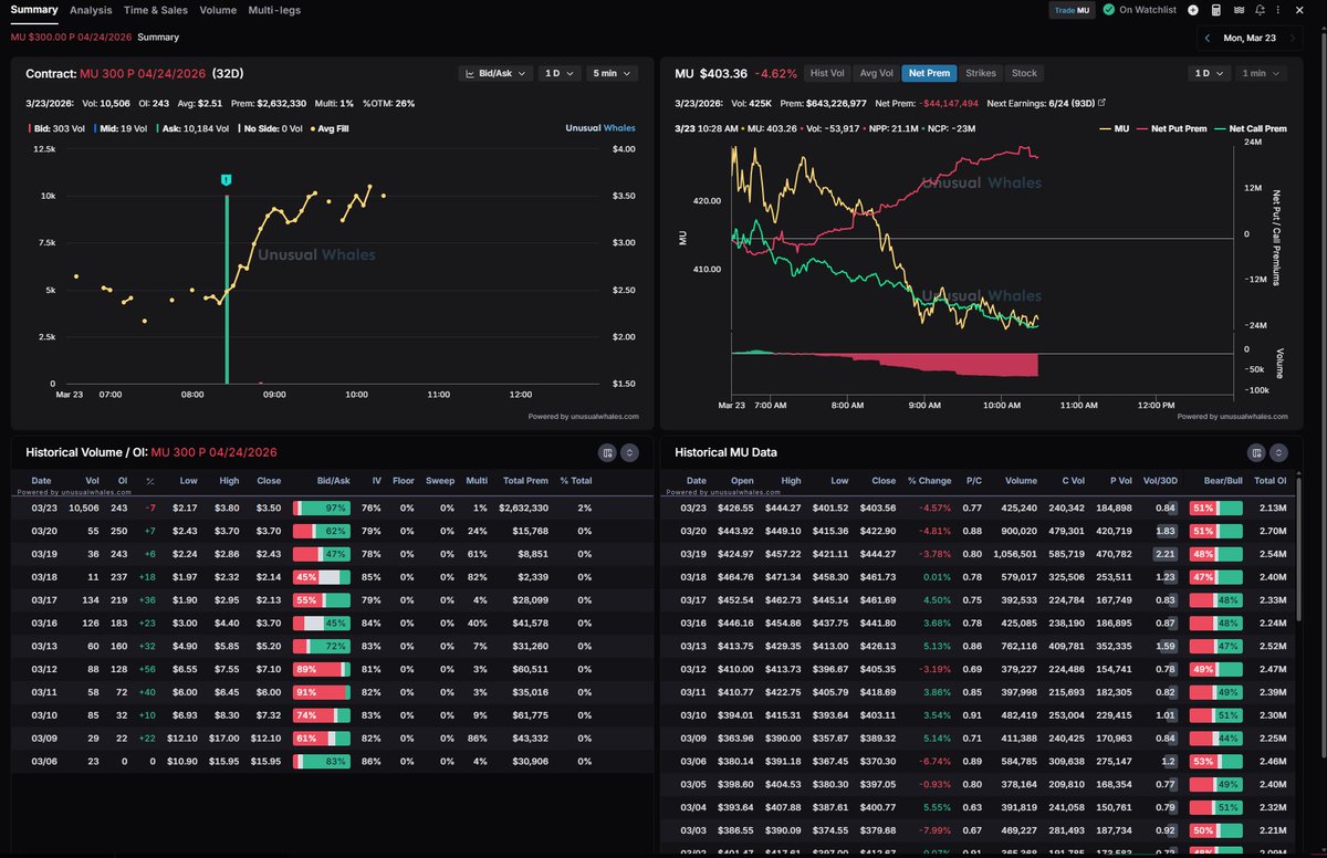 Options King Of The Sea tweet media