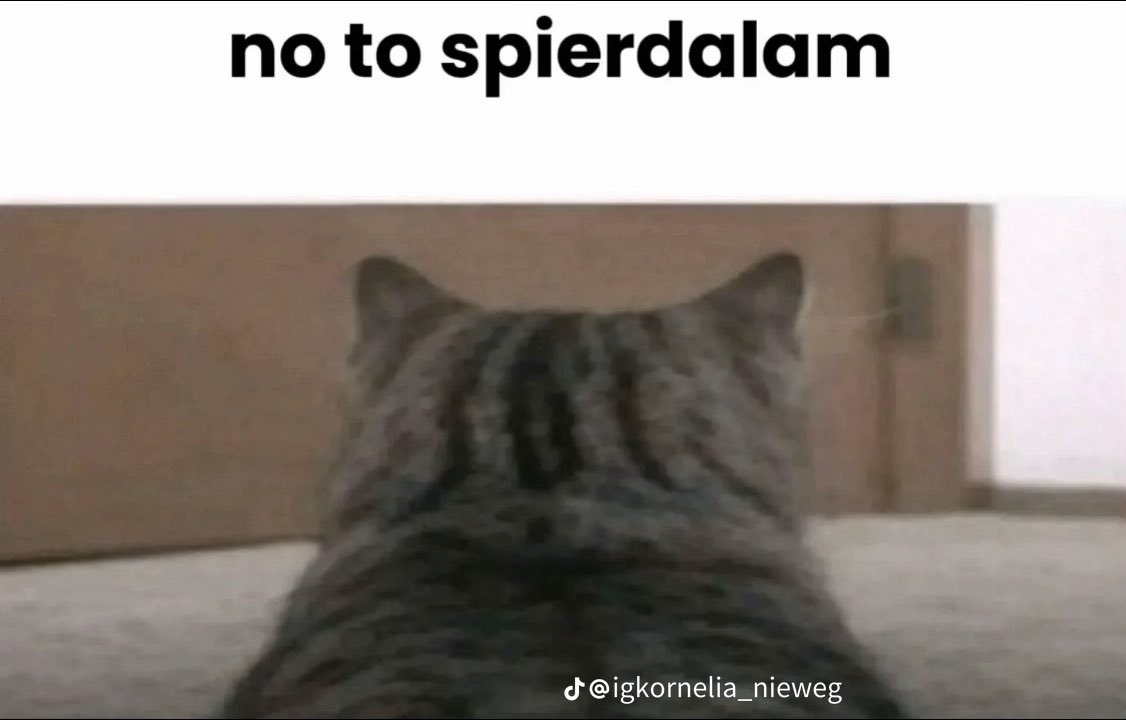 kotlinka tweet media