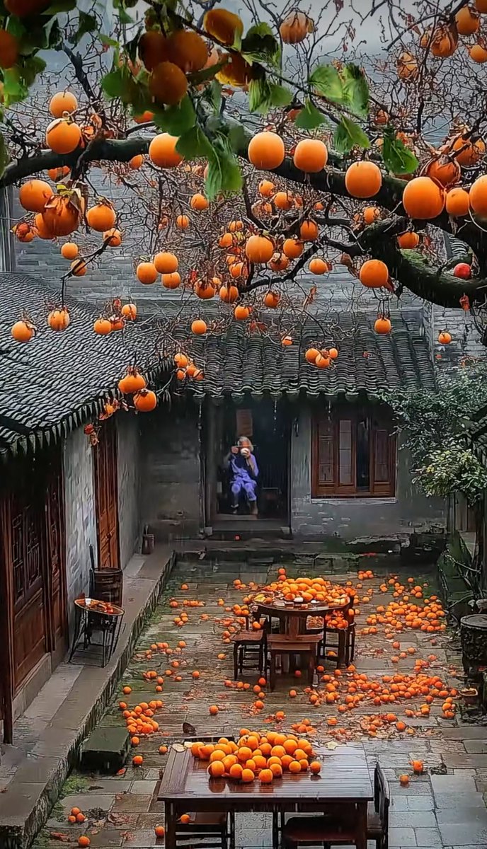 Daniel Holme tweet media