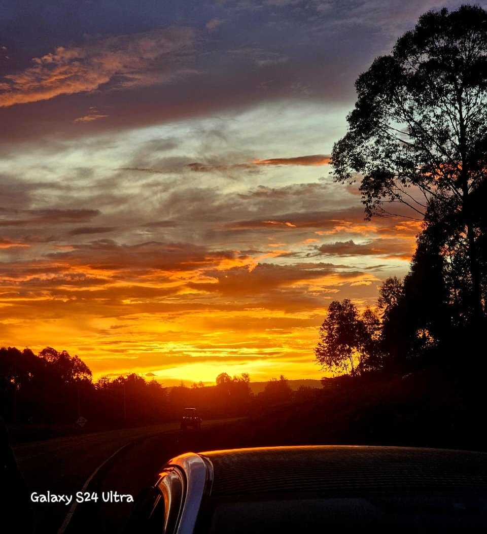 🅻🅴🆂🆂🅰🅽⋆ tweet media