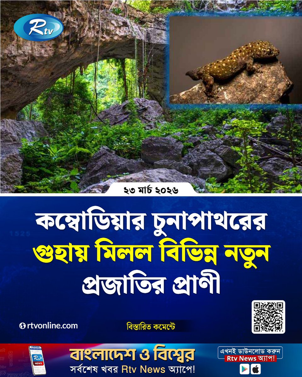 rtvonline's tweet photo. কম্বোডিয়ার চুনাপাথরের গুহায় মিলল বিভিন্ন নতুন প্রজাতির প্রাণী...
#Cambodia #LimestoneCave #NewSpecies
https://t.co/gLX7ipcEHN https://t.co/HFfdzvPKXc