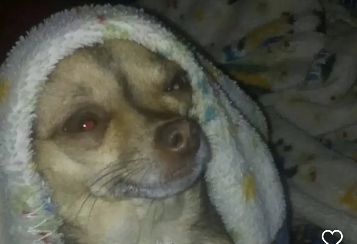 LilRocketNasa🚀 tweet media