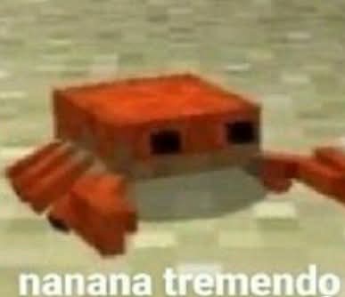 CUBO³ tweet media