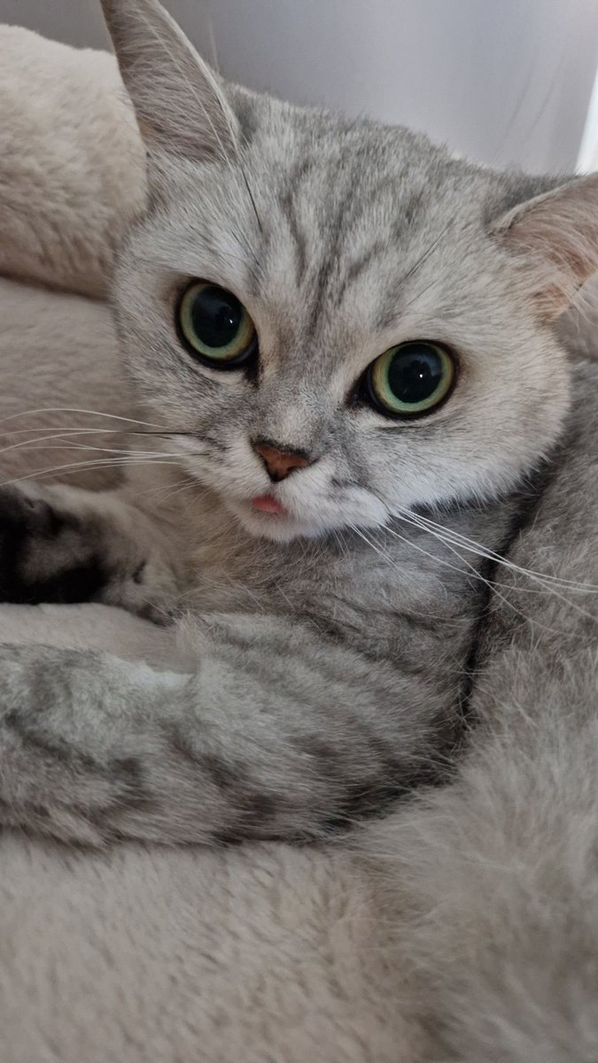 Heliuwum tweet media