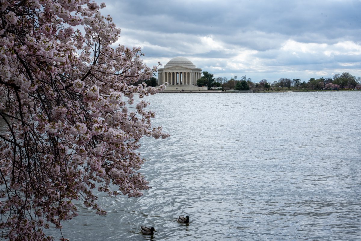 Andrew Leyden tweet media