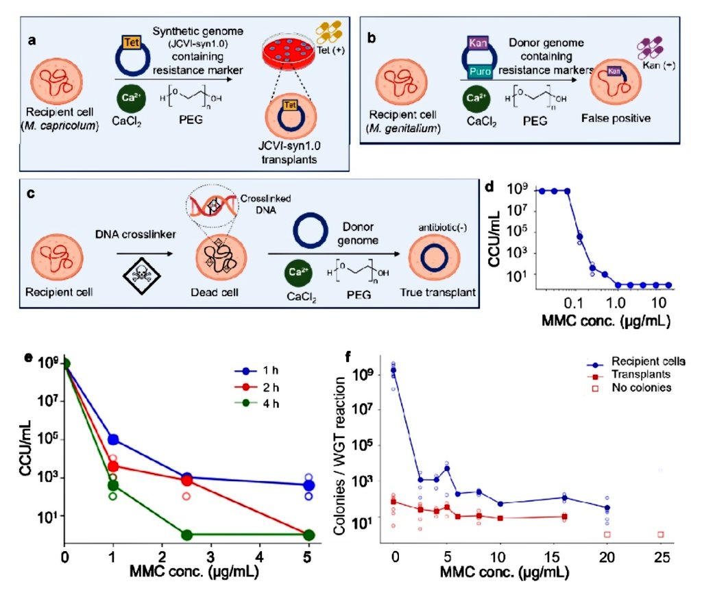 Jose Ramos Vivas tweet media