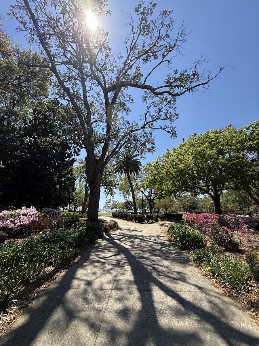 Vitaliy Chernyavskiy tweet media