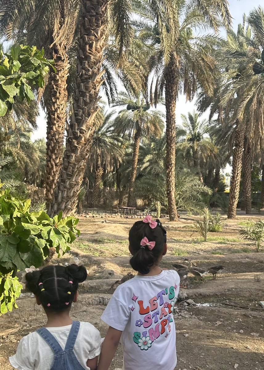 عامر tweet media