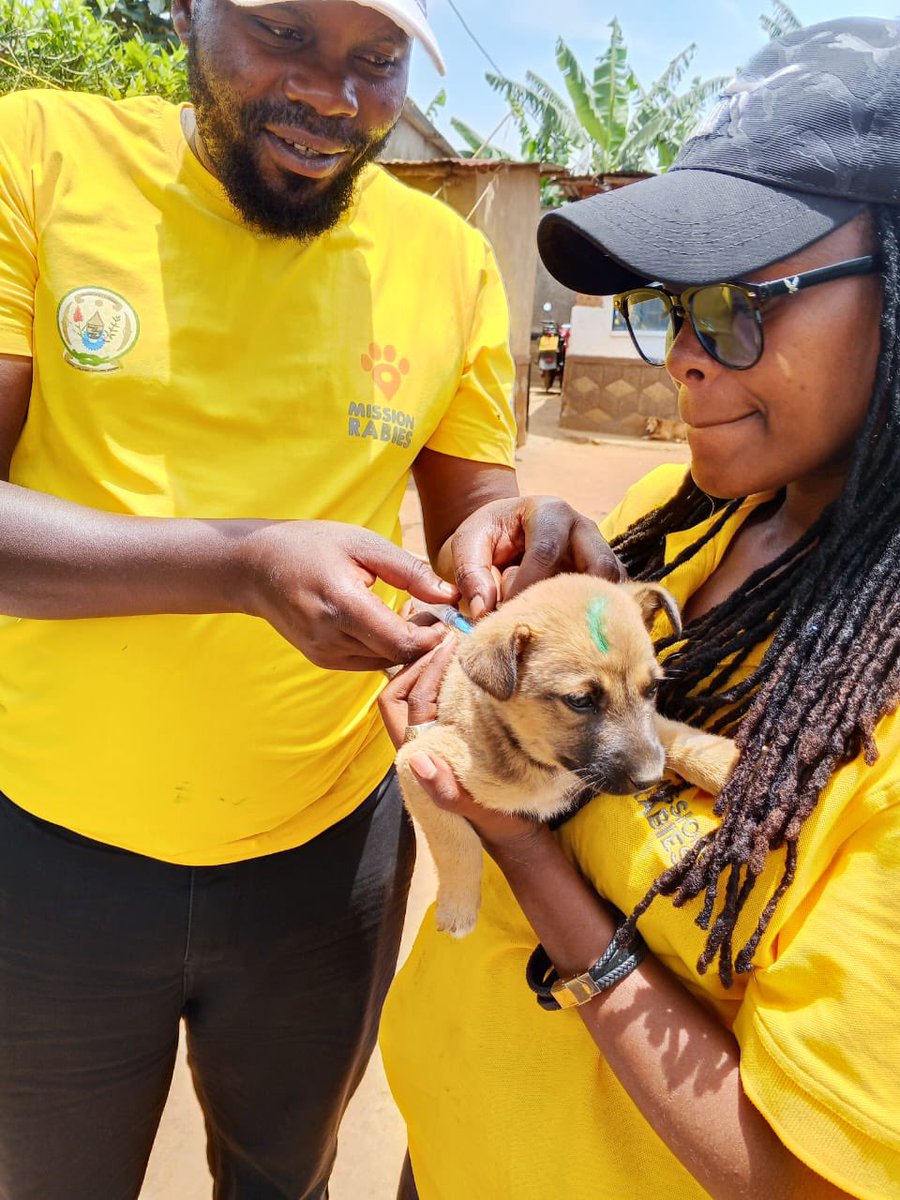 WAG Rwanda tweet media