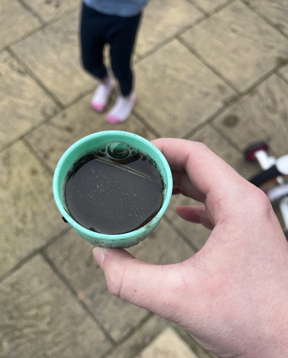 beth 🪷 tweet media