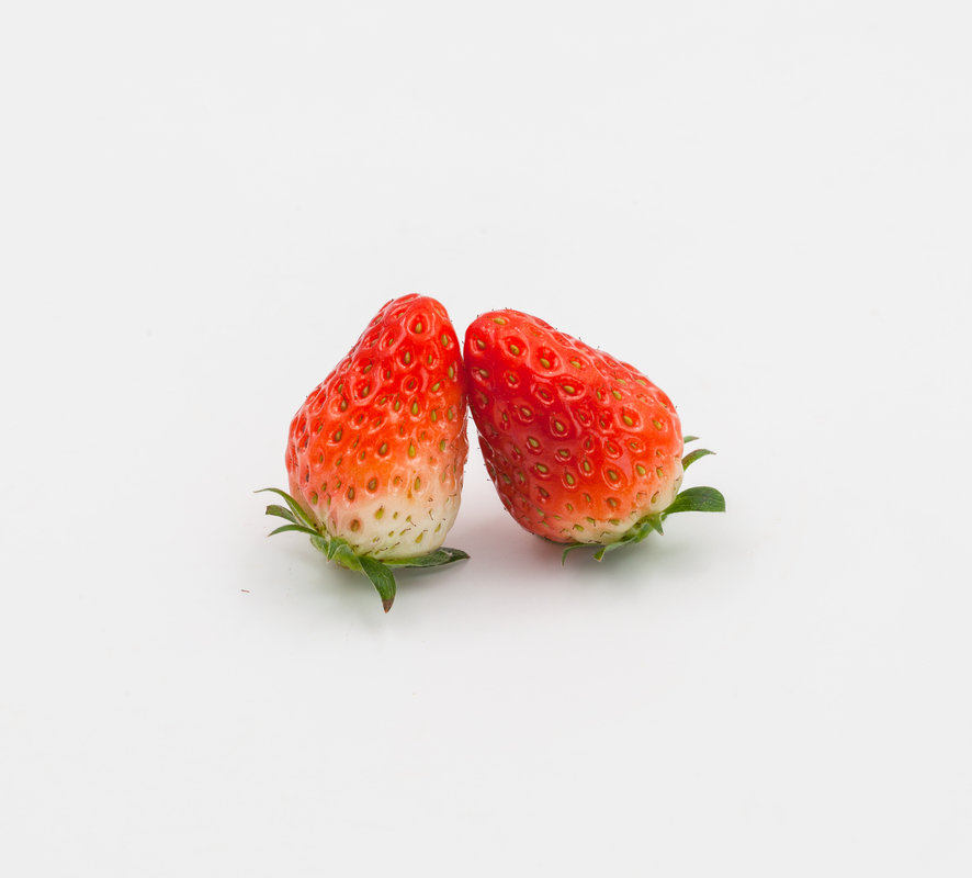 willis bounif tweet media