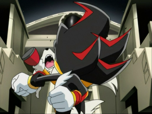 Daily Tails Pics tweet media