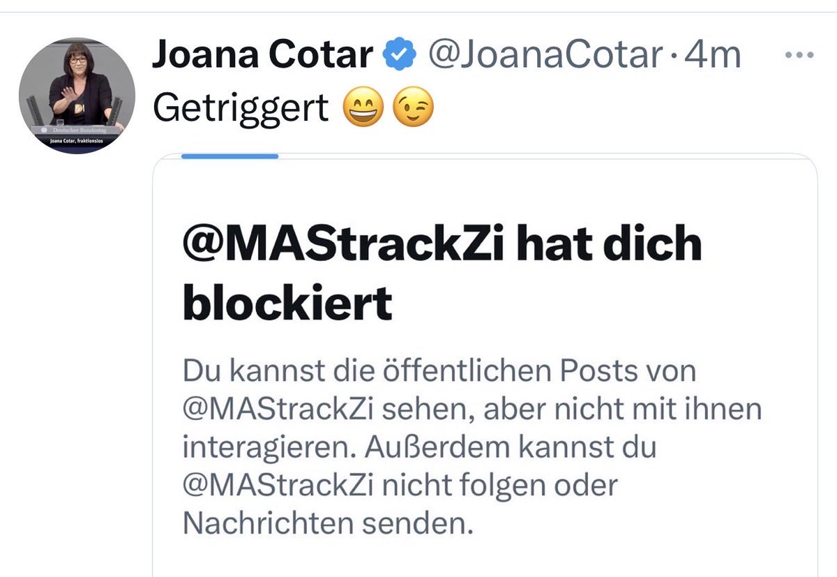 Joana Cotar tweet media