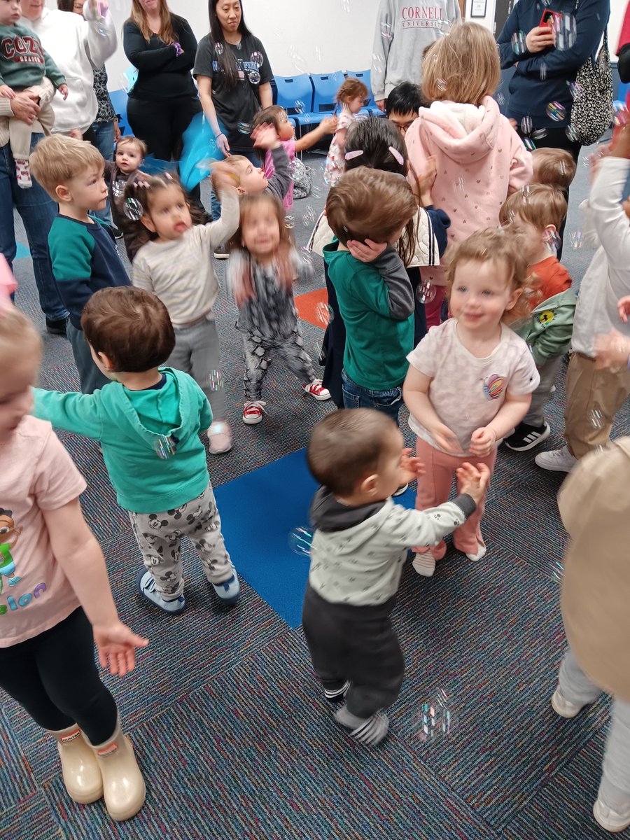 Marple Library tweet media