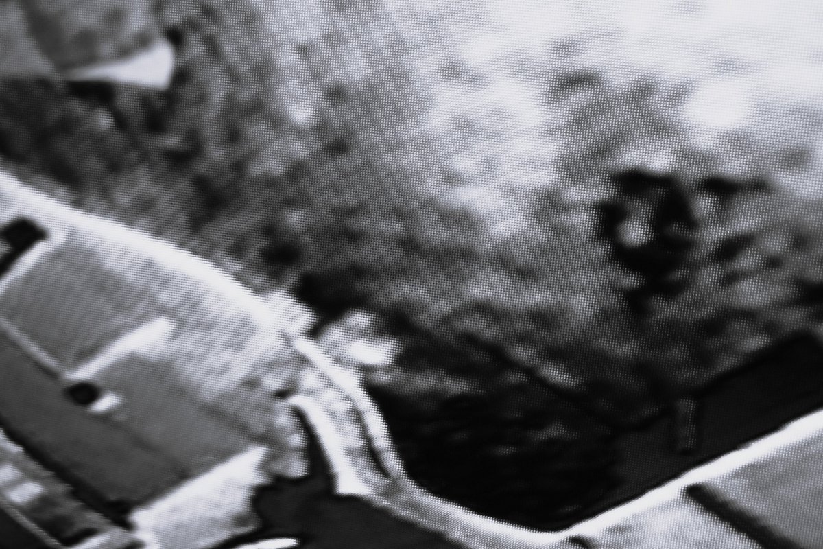 Oddityfinder tweet media