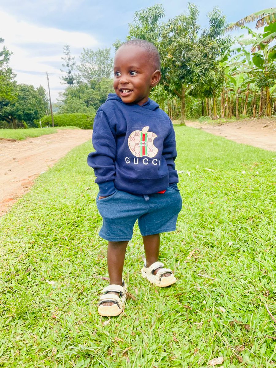 SeiriArigumaho09 tweet media