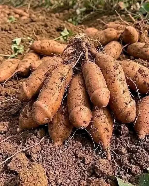 Can we follow you back now