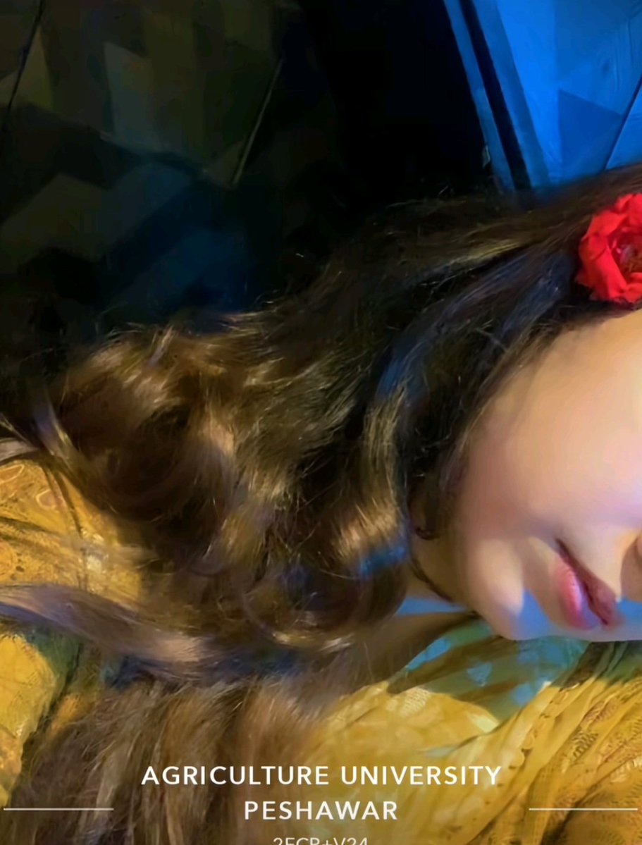 Haya khan🇵🇰🌸🇦🇪 tweet media