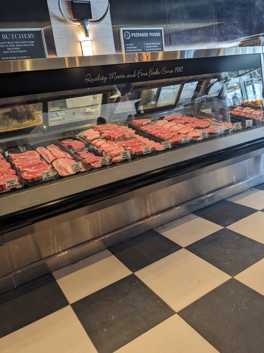 CritterCamGorilla😊 tweet media