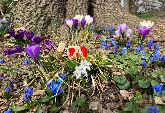 Happy Lilly tweet media