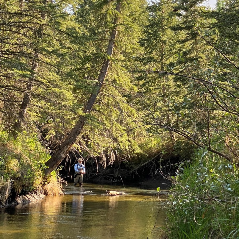 Alberta Conservation tweet media