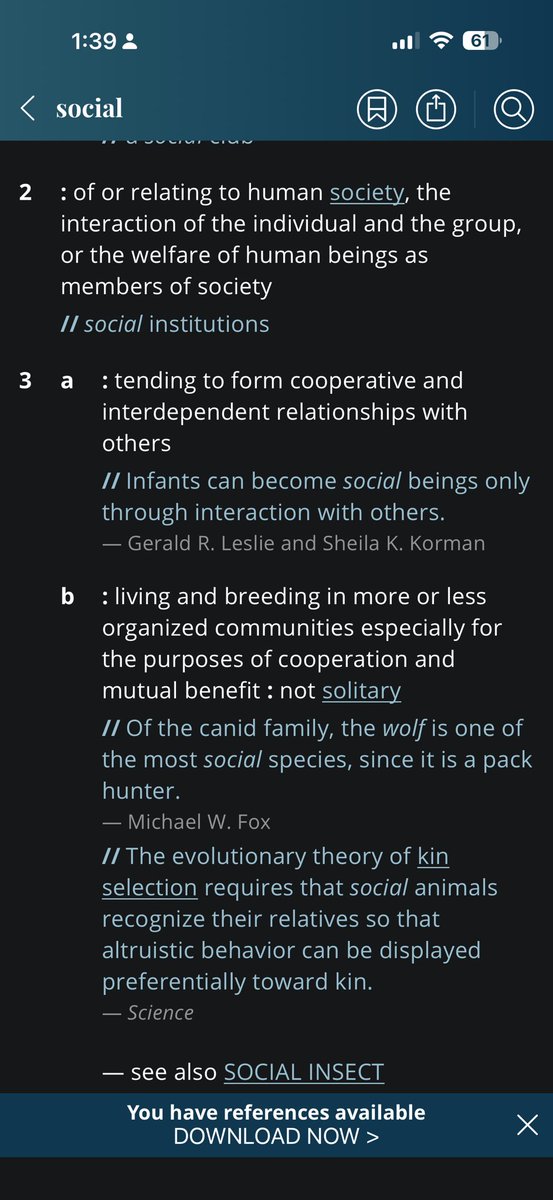 Default-Setting tweet media