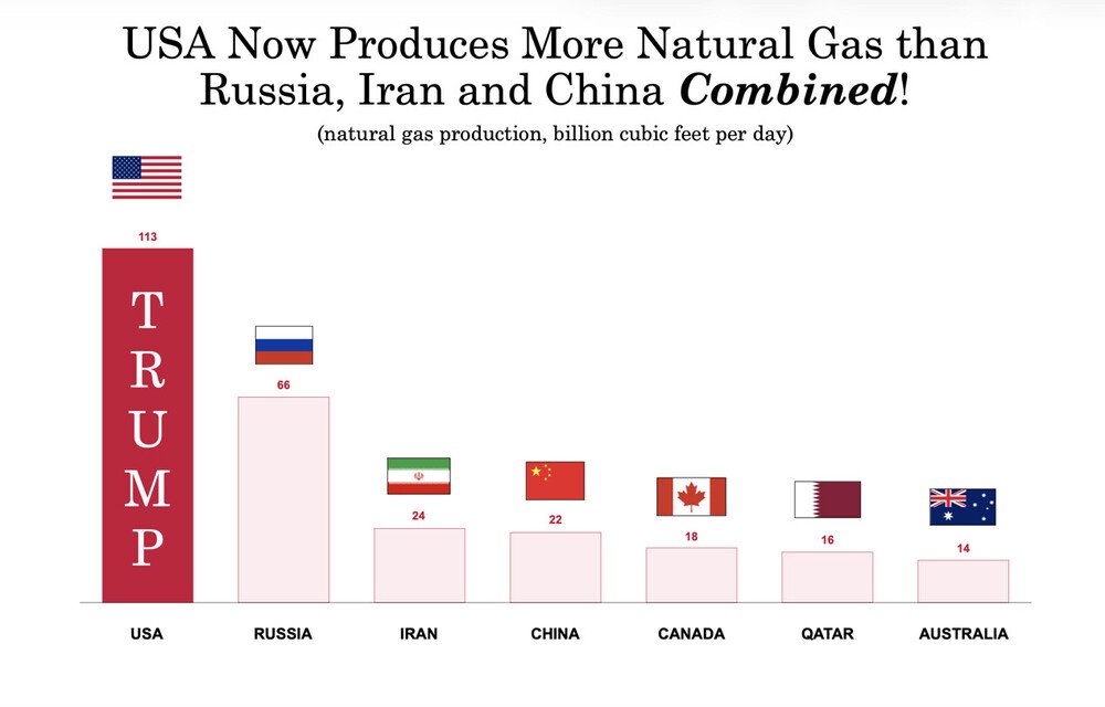 The Duck tweet media