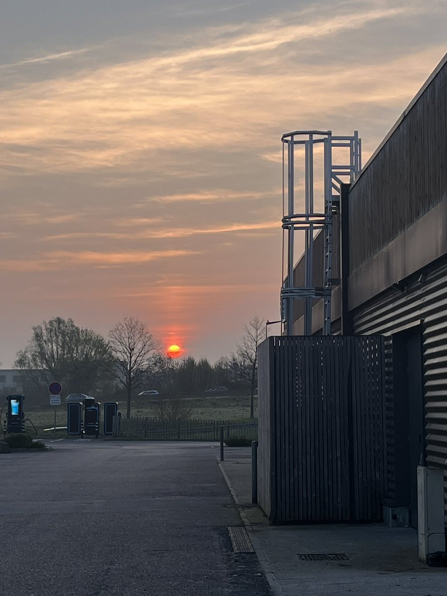 léa (reformed) tweet media