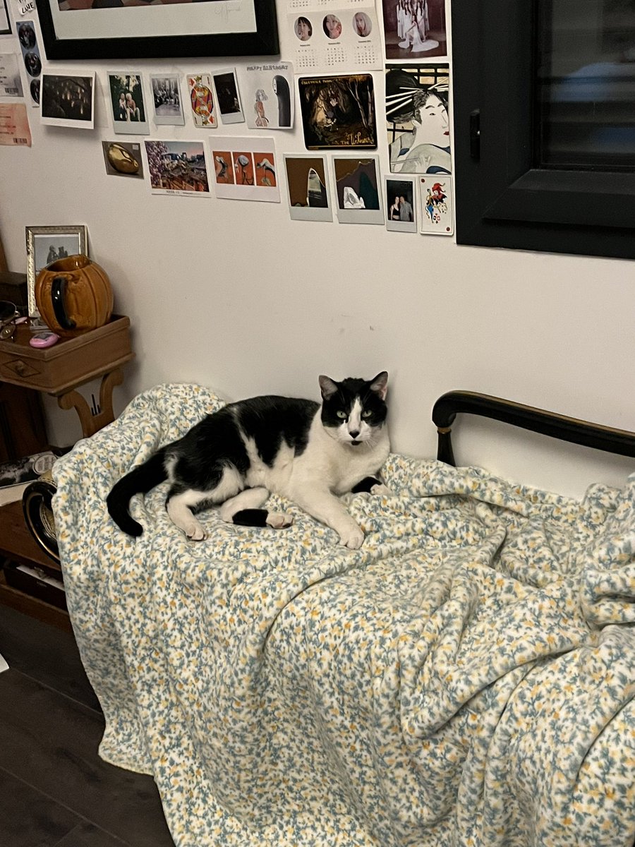 léa (reformed) tweet media