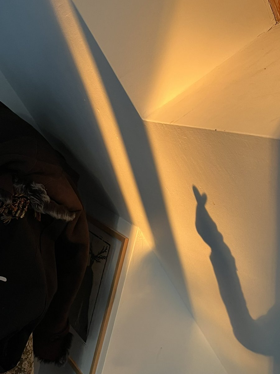 léa (reformed) tweet media