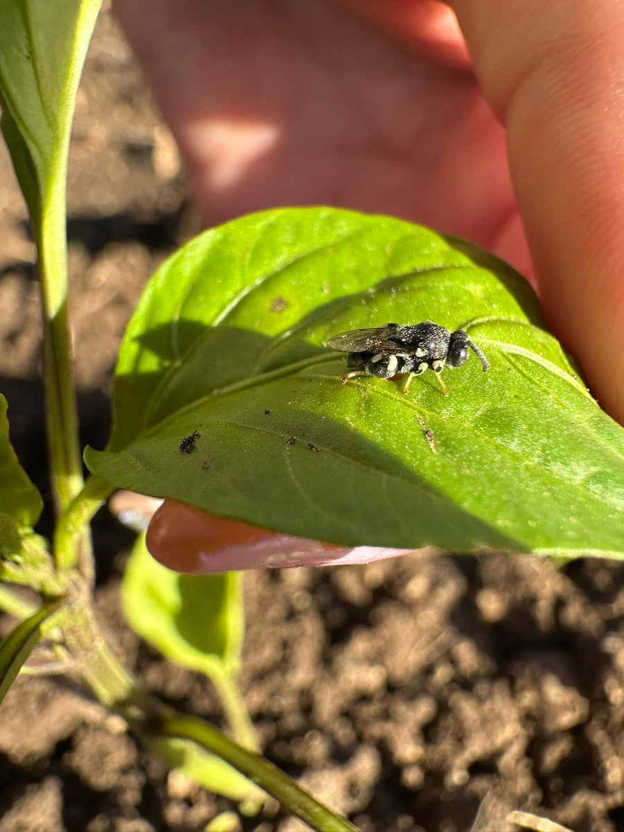 Universidad de Las Tunas tweet media