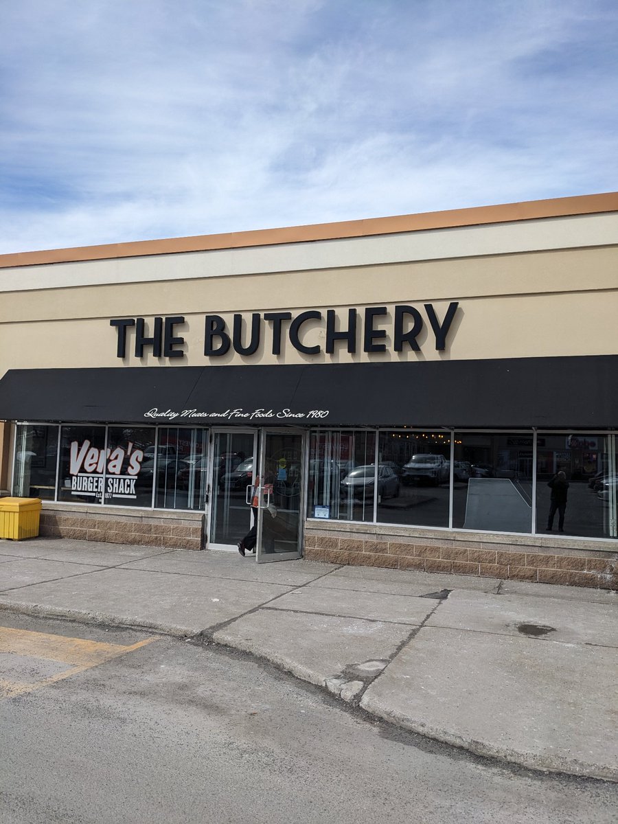 CritterCamGorilla😊 tweet media