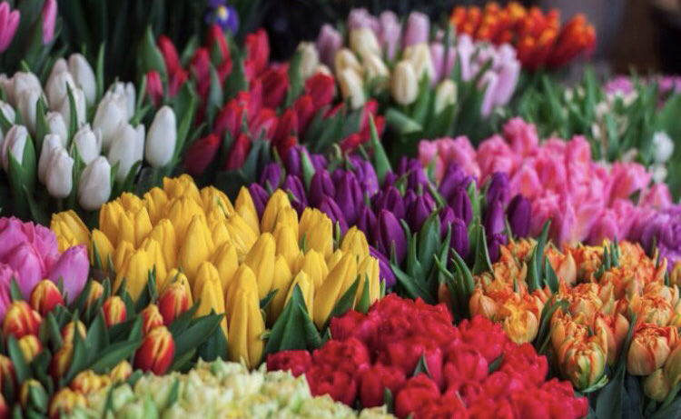 Tatiana Charnina tweet media