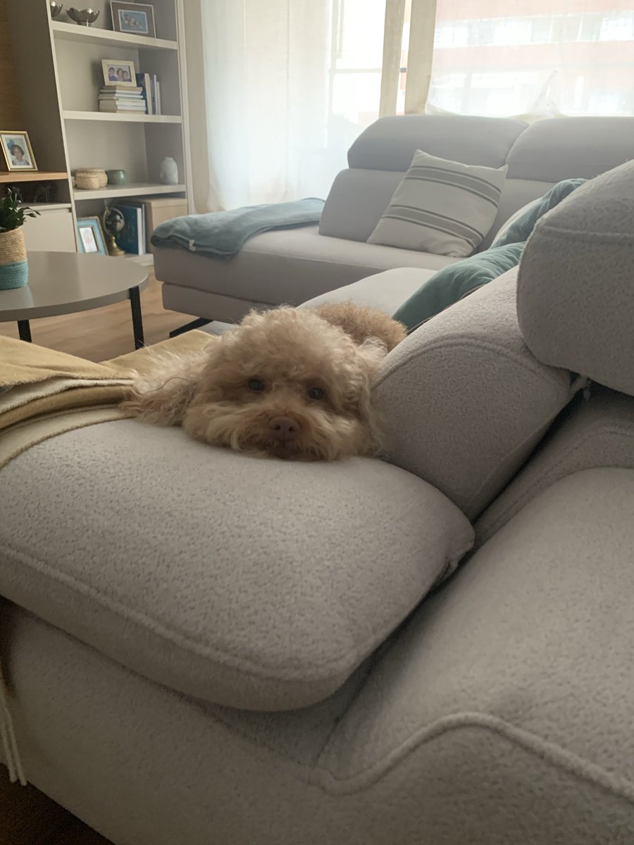 💎Verasky tweet media